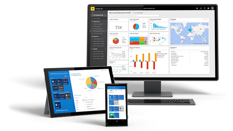 microsoft dynamics nav